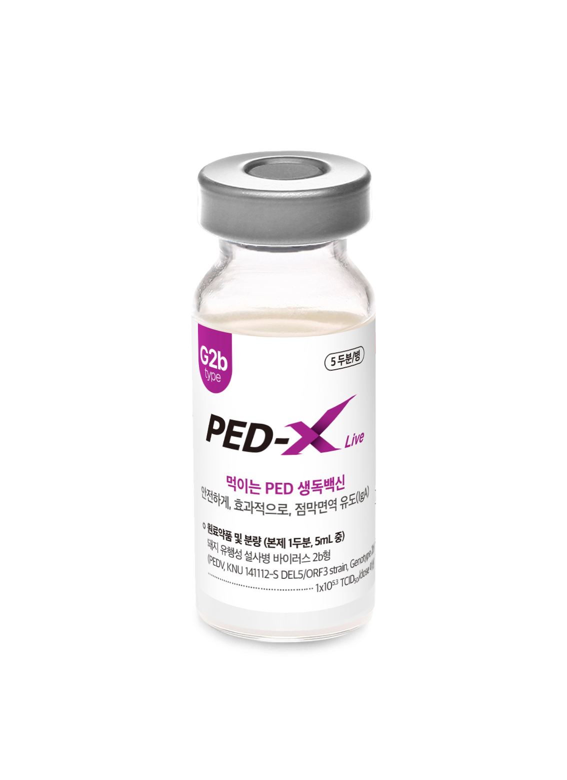 피이디-엑스 라이브